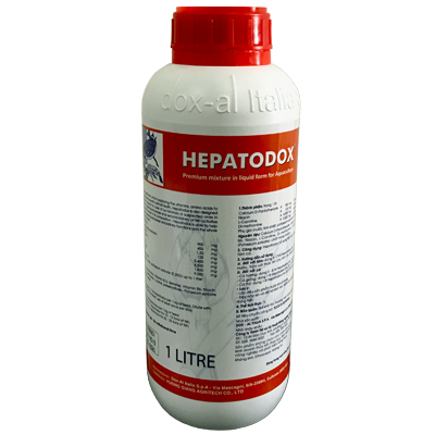 HEPATODOX HEPATODOX